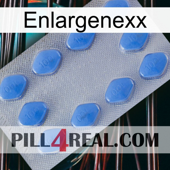 Enlargenexx 21